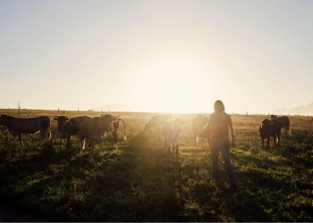 Biologische landbouw in Nederland en de EU