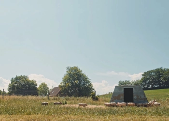 Biologisch vlees: wat is het?